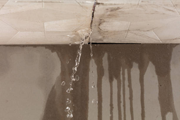 Professional Structural Drying technician working in Bluff City, TN